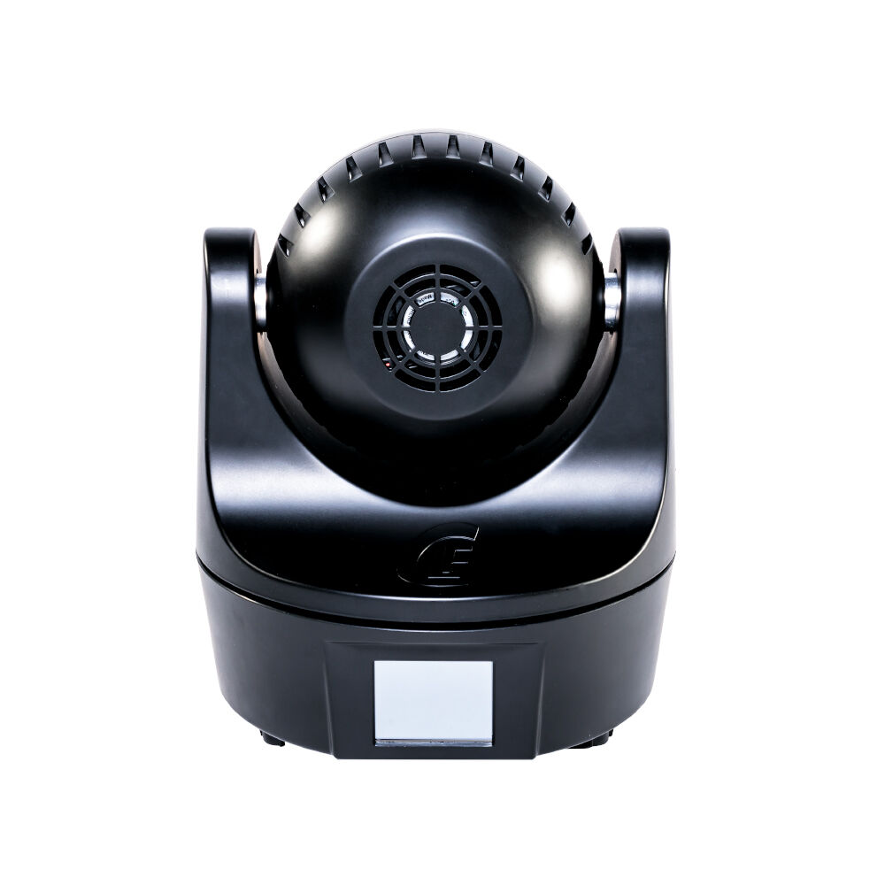 CLF_CLF Beam 6 back 2.jpg