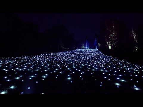 Enttec ELM LED-Mapper, Entry Edition 4 Universes