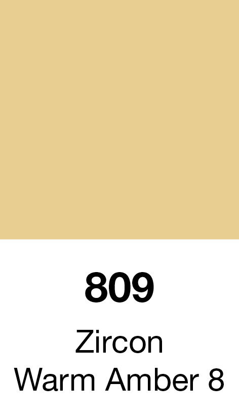 LEE_809.jpg