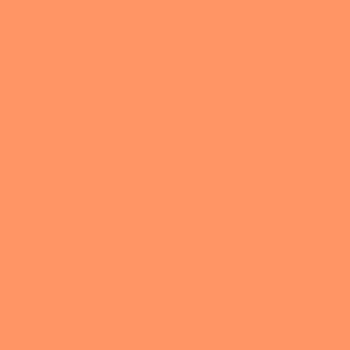 Rosco_Supergel_Rosco-Supergel-17.jpg