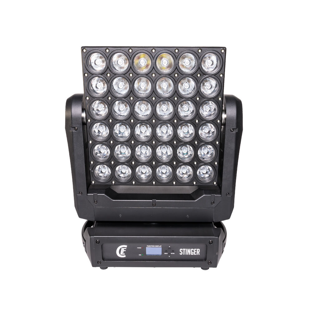 CLF_CLF Stinger front.jpg
