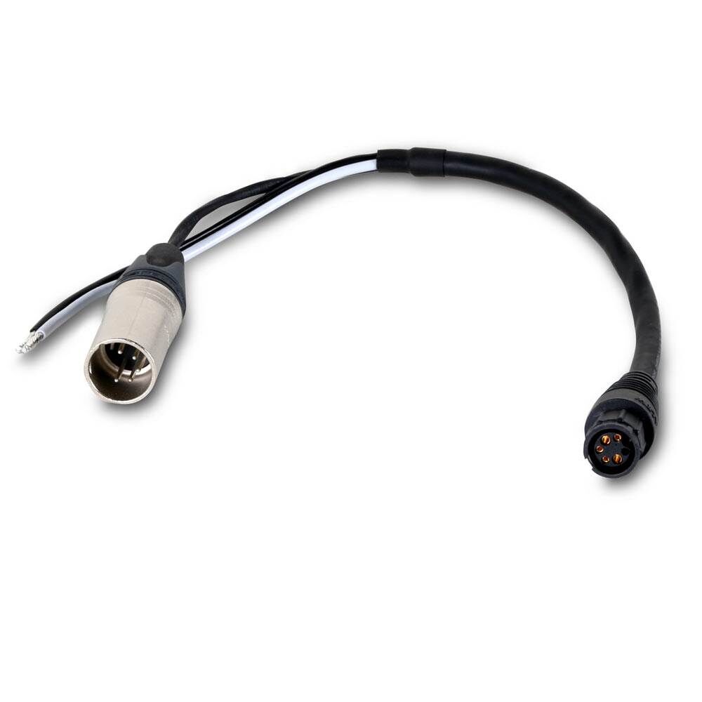 Martin Sceptron Câble adaptateur BBD XLR